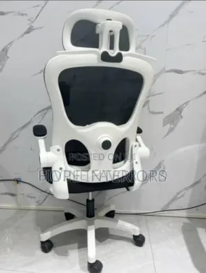 Emgronic Lumba Chair