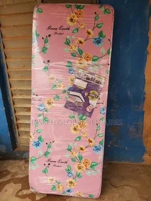 Green Earth 75x30x4 Student Bed
