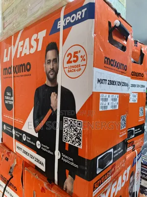 230ah Indian Product Livfast Tall Tubular Battery Available