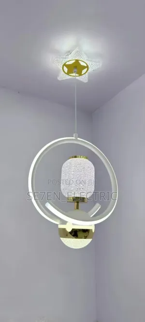 Single Dropping Pendant Light 1013