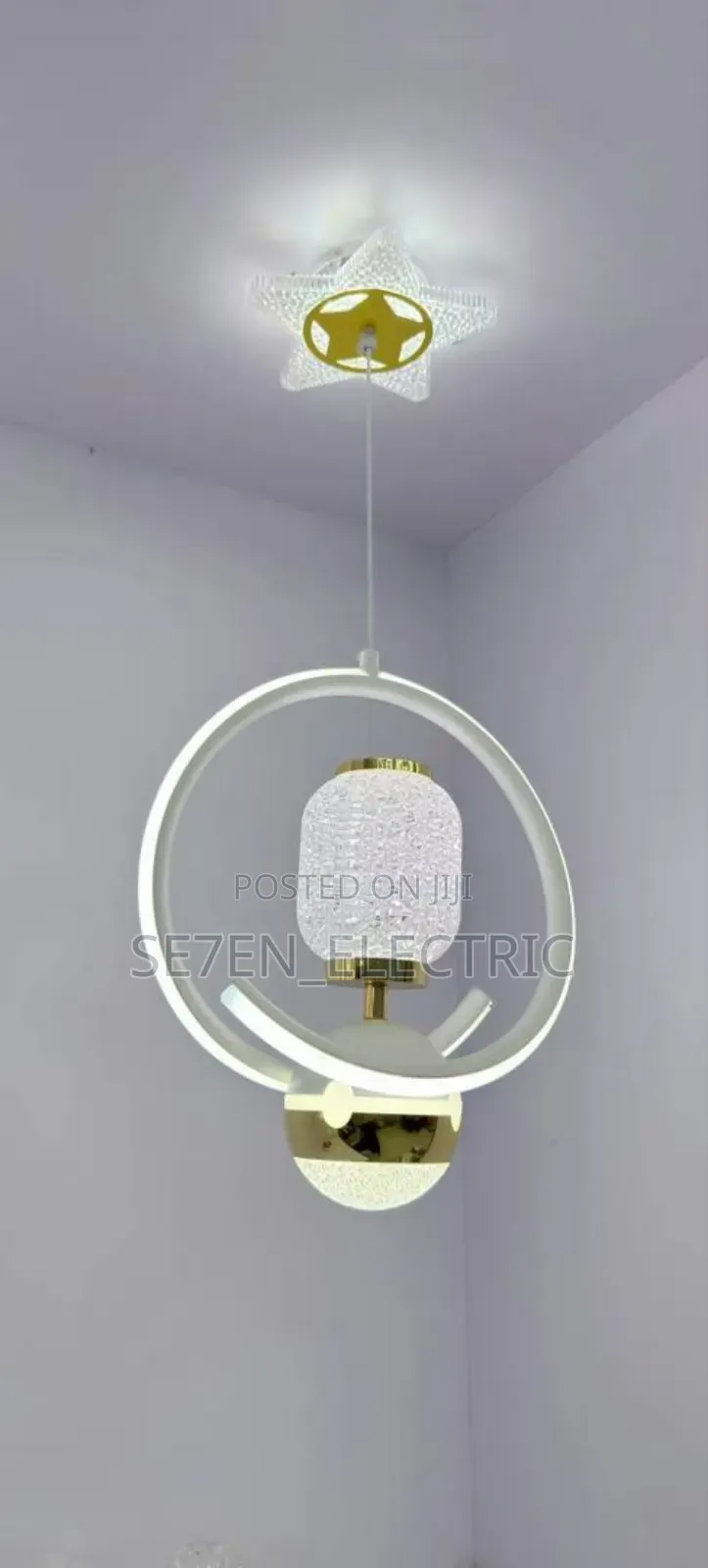 Single Dropping Pendant Light 1013