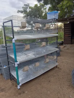 Rabbit Cage