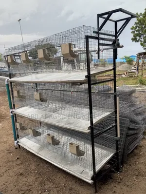 Rabbit Cage