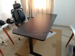 Ergonomic Electric Height Adjustable Desk + Executive Chair
