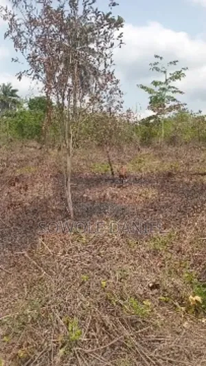 5 Acres Farmland for Sale Obafemi Owode Lg Ogun State. Lagos/Ibadan