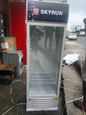 Skyrun Standing Chiller Low Voltage 3years Warranty
