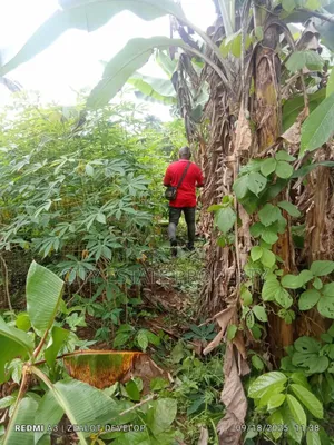 One and Half Plot of Land Omagwa Ph