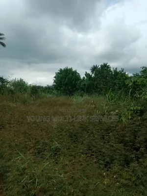1 Acer of Farm Land for Sale in Ph Odagwa Etche, Hot Seals
