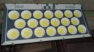 1000w Electric Flood Light for Warehouses/ Hotels/ Factories/ Stadiums