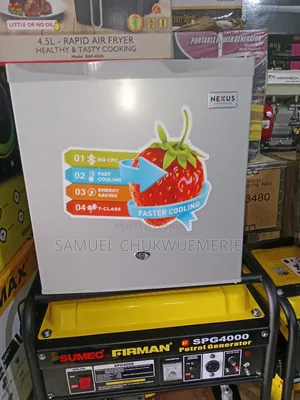 Nexus Bedside Fridge Low Voltage