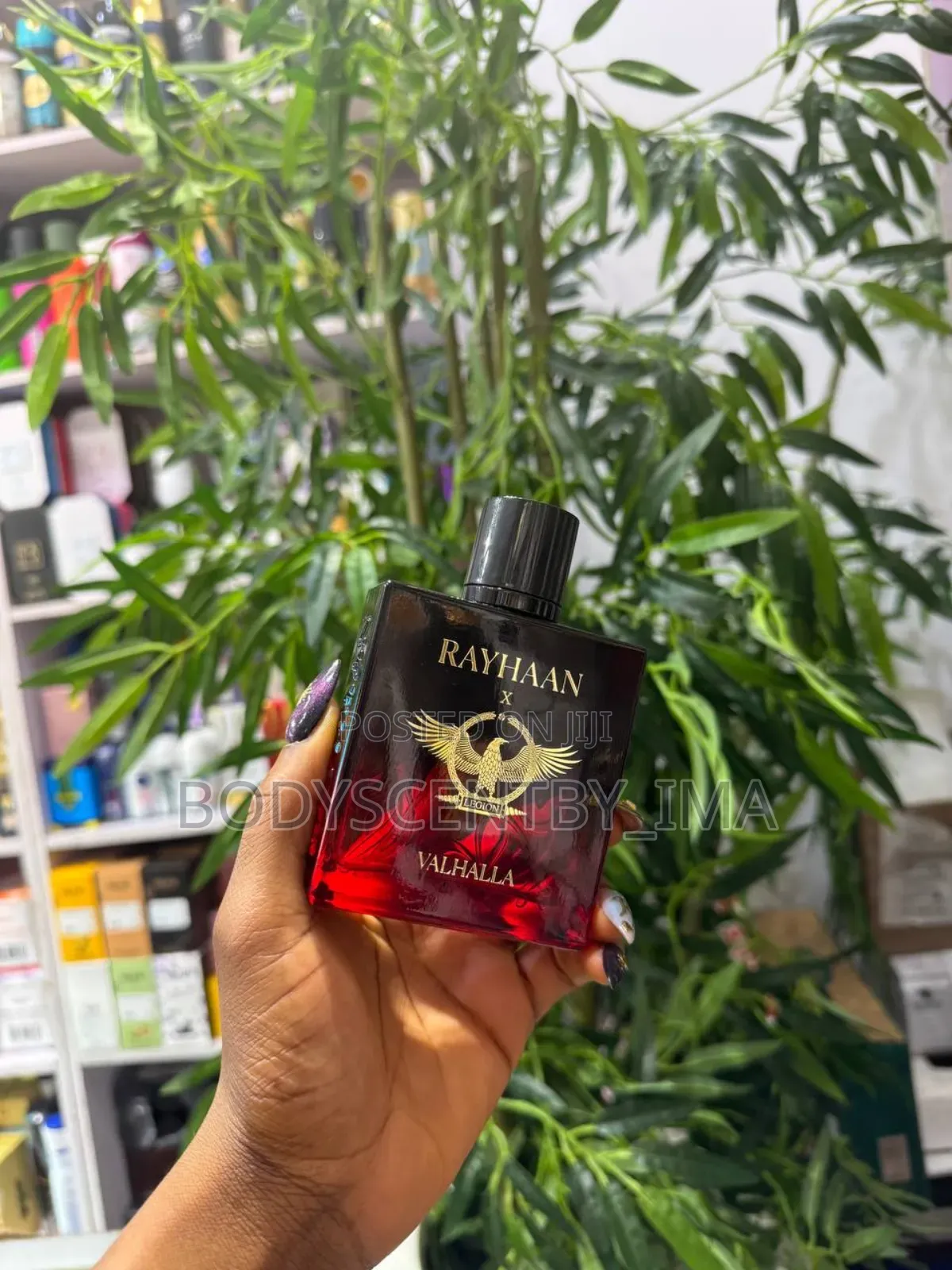 Rayhaan Valhalla / Rayhaan Icarus