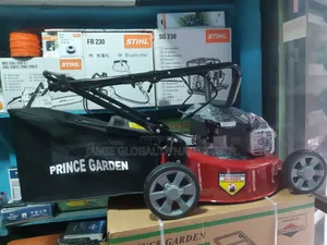 4hp Lawnmower