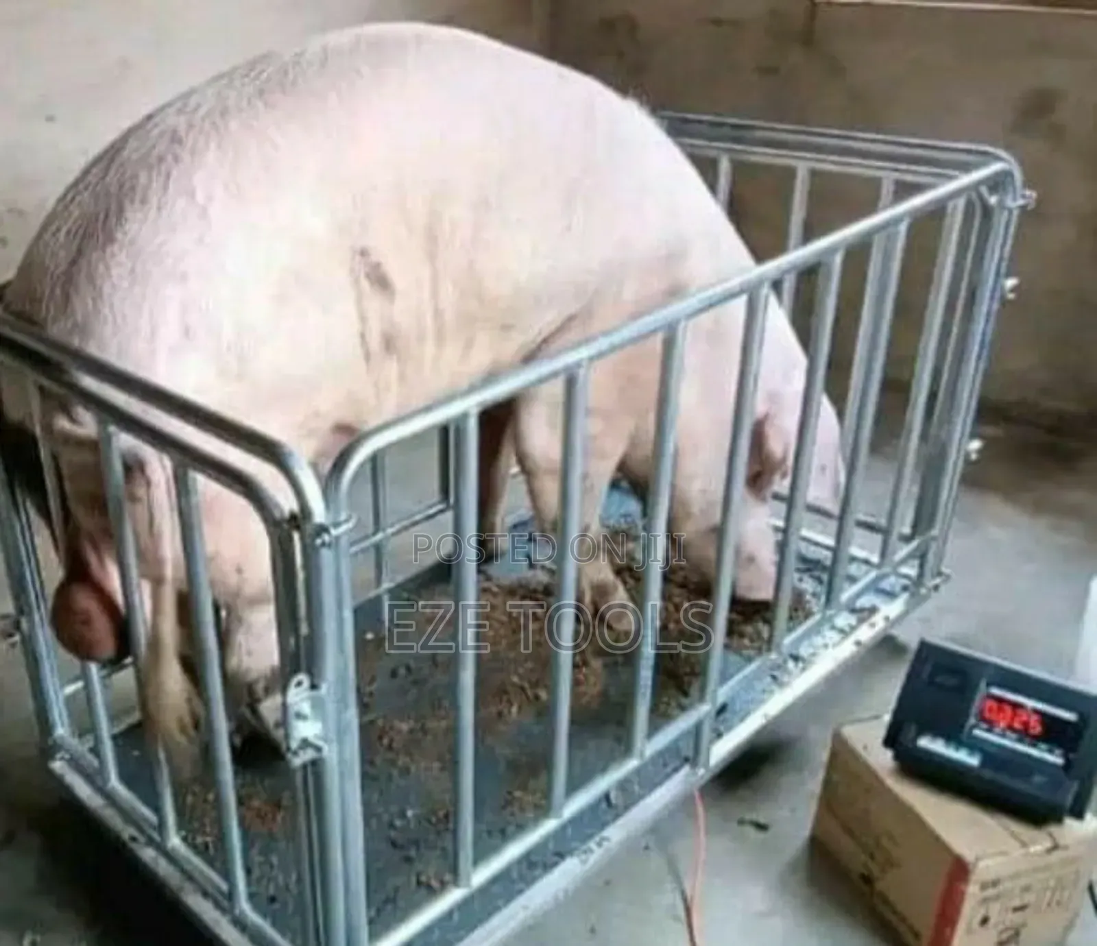 3ton Animal Digital Scale