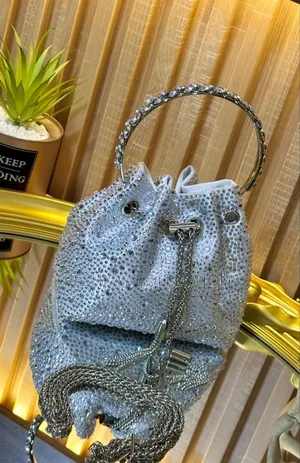 Luxury Ladies Clutch Bag 