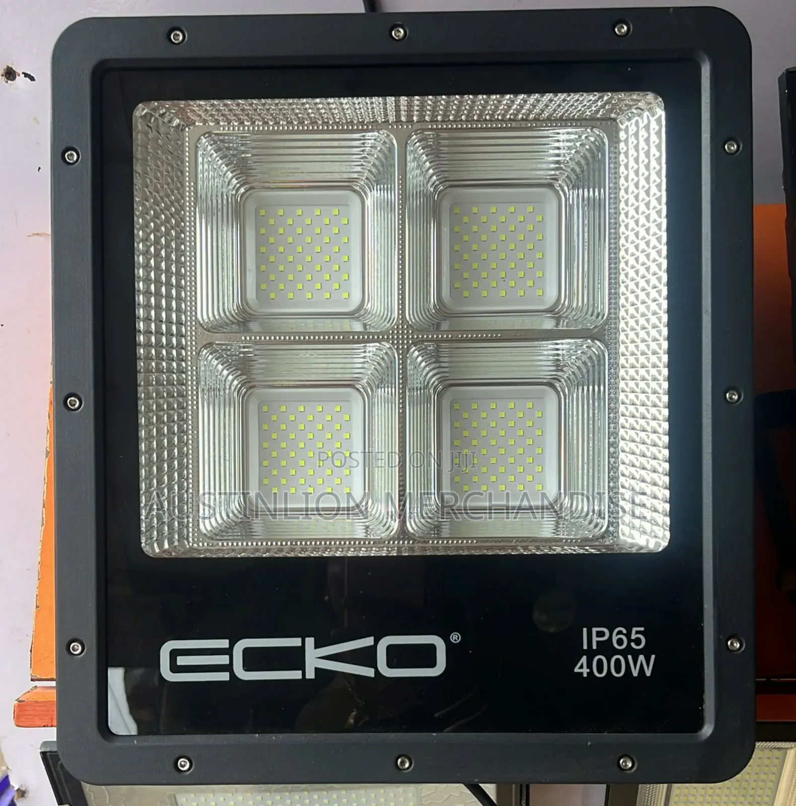 Ecko Floodlight