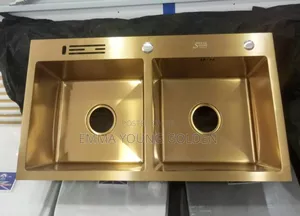 Double Bowl Sink