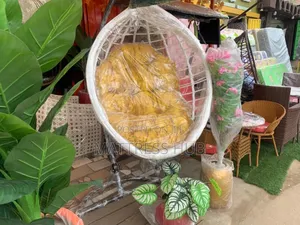 Classical White Hanging Swing