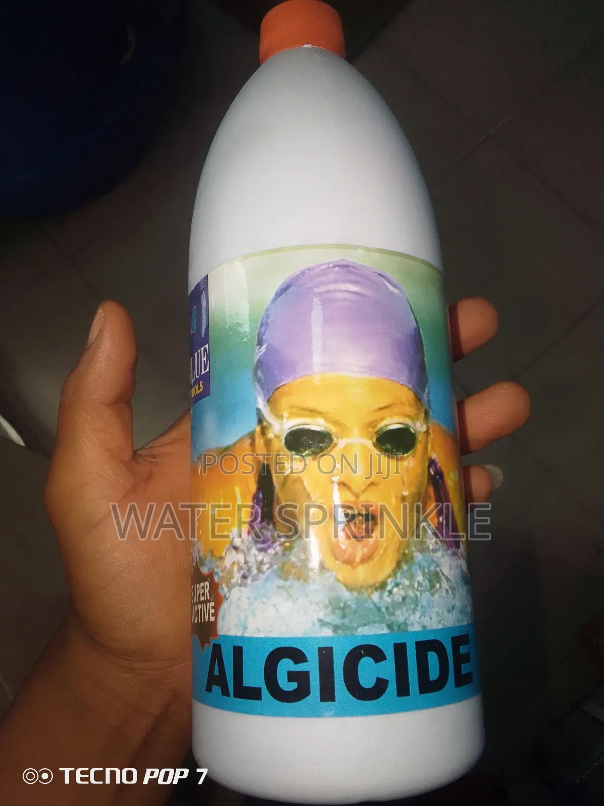 Algicide Swimming Pool