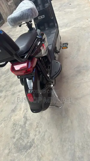 Electric Bicycle
