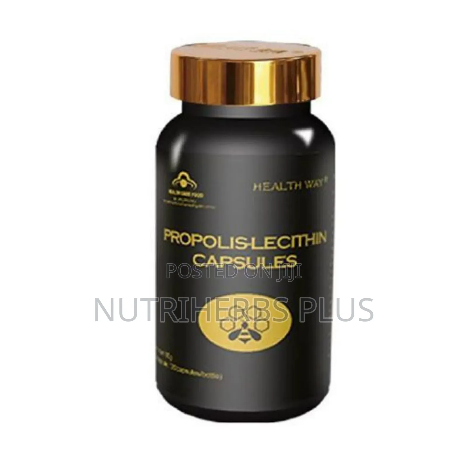 Norland Propolis Lecithin Capsules: For Improved Immunity