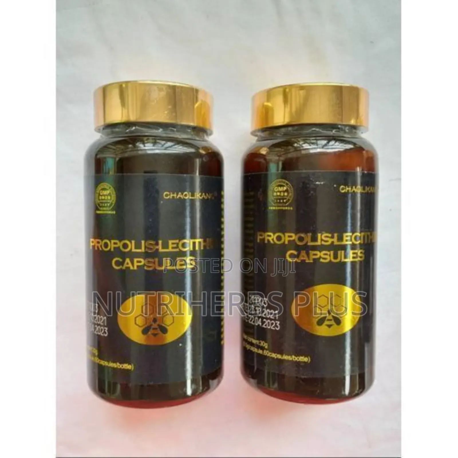 Norland Propolis Lecithin Capsules: For Improved Immunity