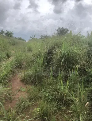 3plot of Land at Sapele Road Bypass