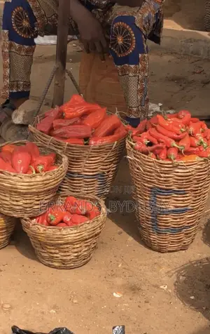 Fresh Pepper and Fish