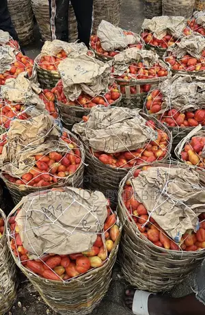 Fresh Pepper and Fish