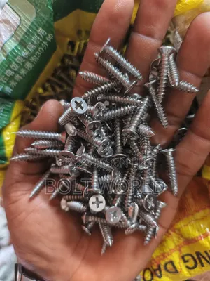 Stainless Steel Tapping Screws Used For Drilling Of Metals