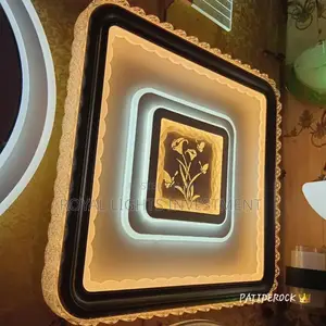 Multi Color Ceiling Light