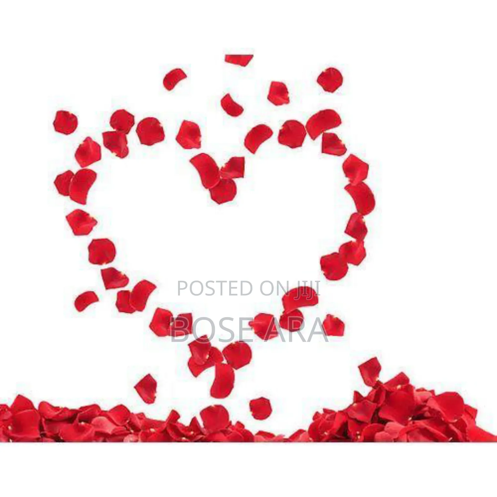 Decorative Red Petals 200pieces