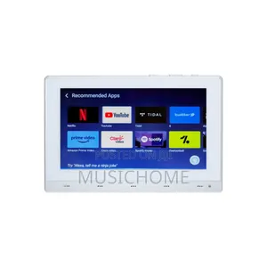 Alexa Inbuilt Android Smart Amplifier
