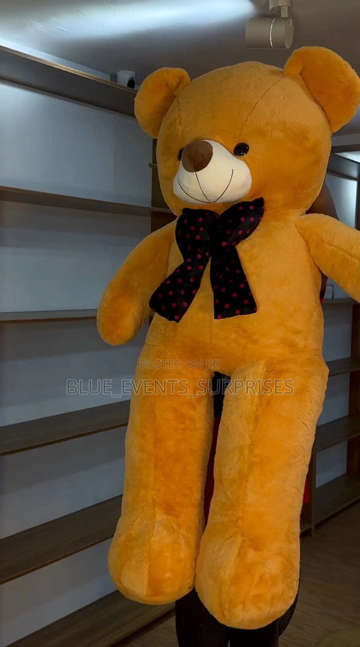 Plush Teddy Bears