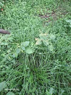 400 SQM Estate Land