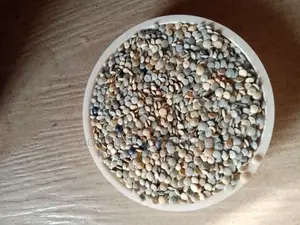 Recycle Materials, Masterbatch and Motorizer