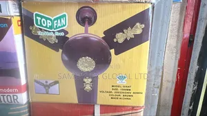 Brand New Ceiling Fan 60" 100% Copper Coil With Warranty