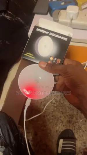 Motion Sensor Body Induction Light