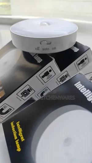Motion Sensor Body Induction Light