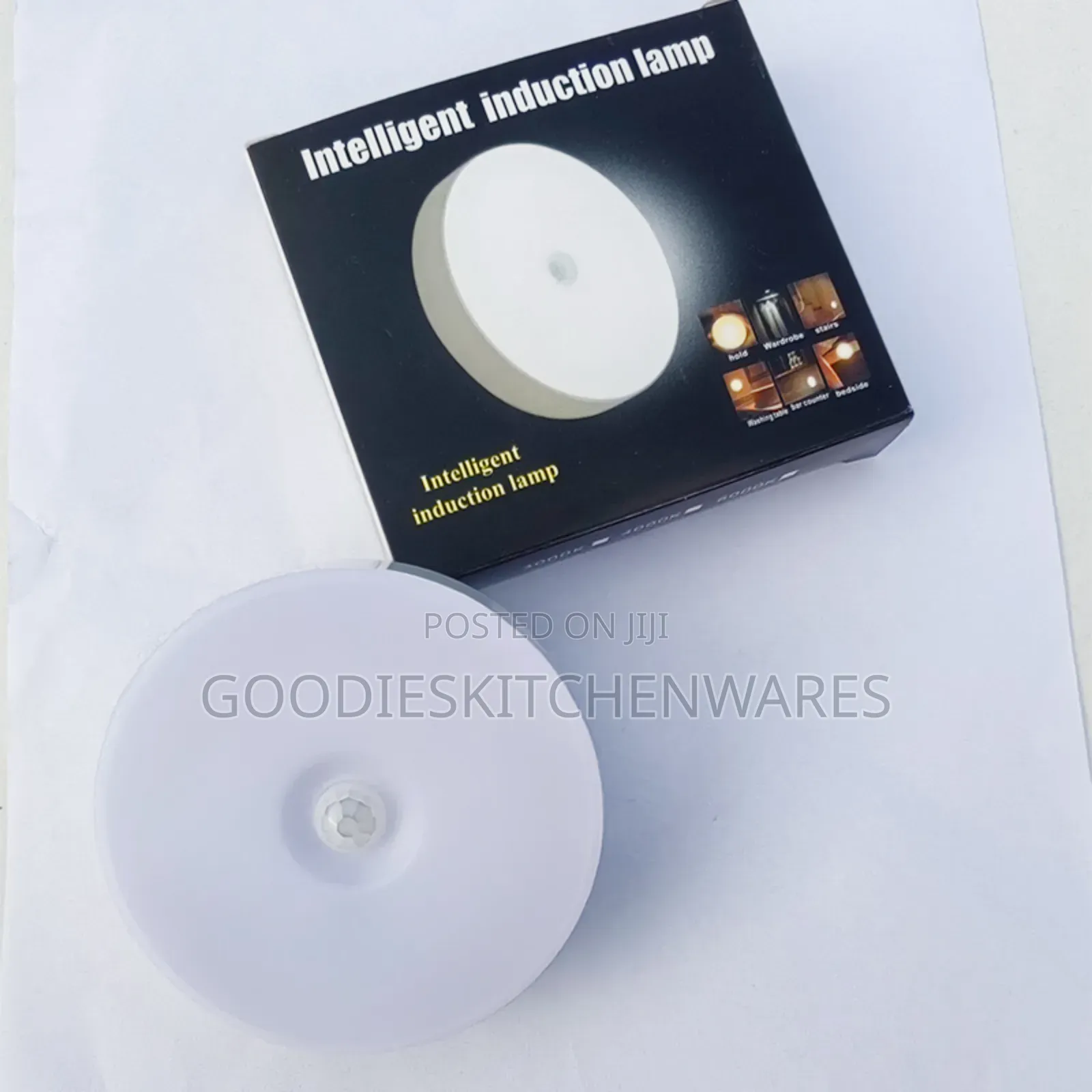 Motion Sensor Body Induction Light