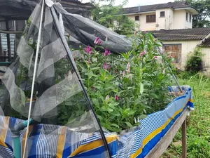 We Build Recirculatory Aquaculture System (Ras)