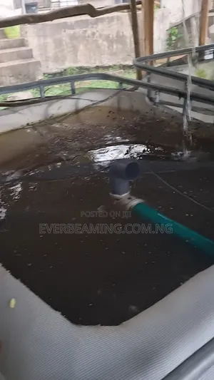 We Build Recirculatory Aquaculture System (Ras)