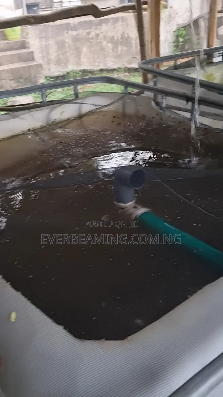 We Build Recirculatory Aquaculture System (Ras)