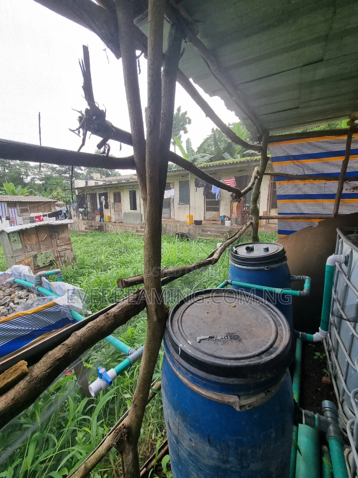 We Build Recirculatory Aquaculture System (Ras)
