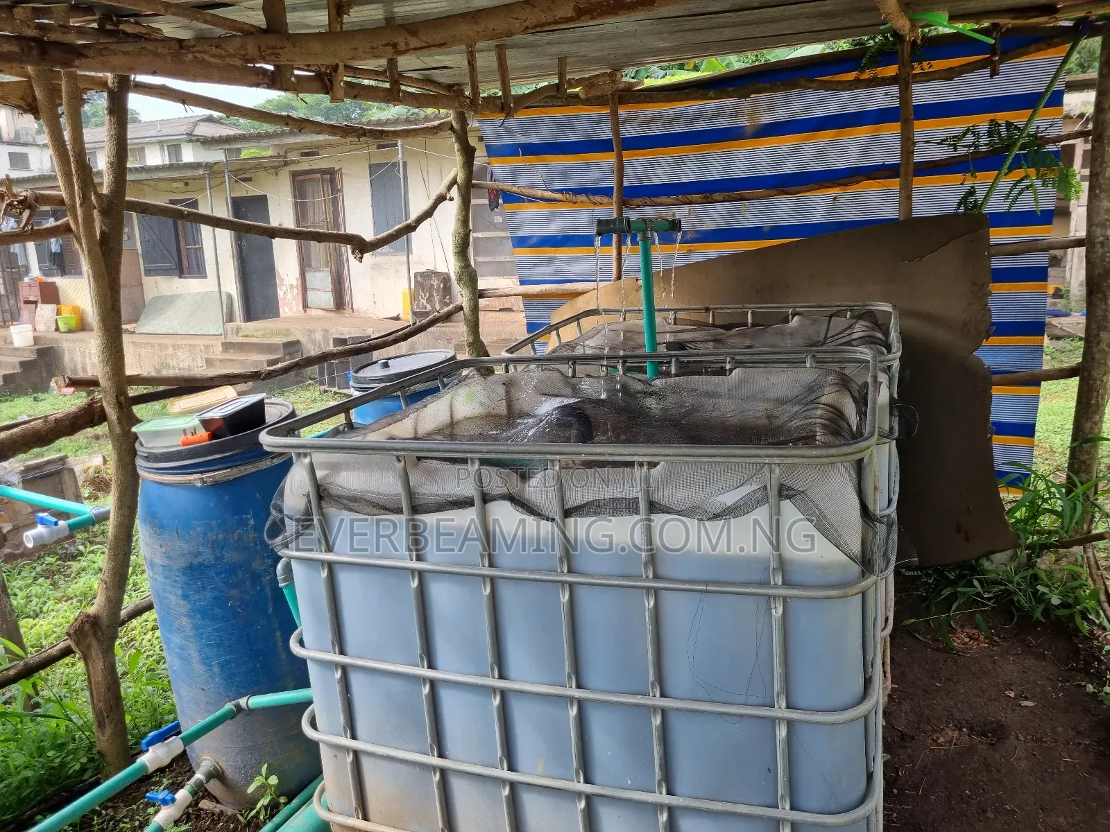 We Build Recirculatory Aquaculture System (Ras)