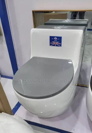 High Standard Water Closet Wc