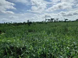 A Plot of Land in Olubode Estate Near Gowon Estate Egbeda Alimosho