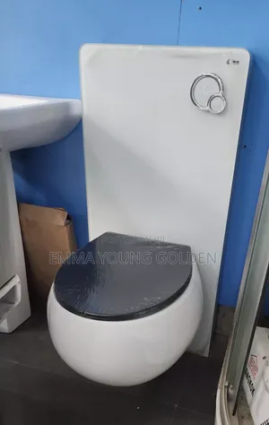 Wall Hung Concealed Water Closet