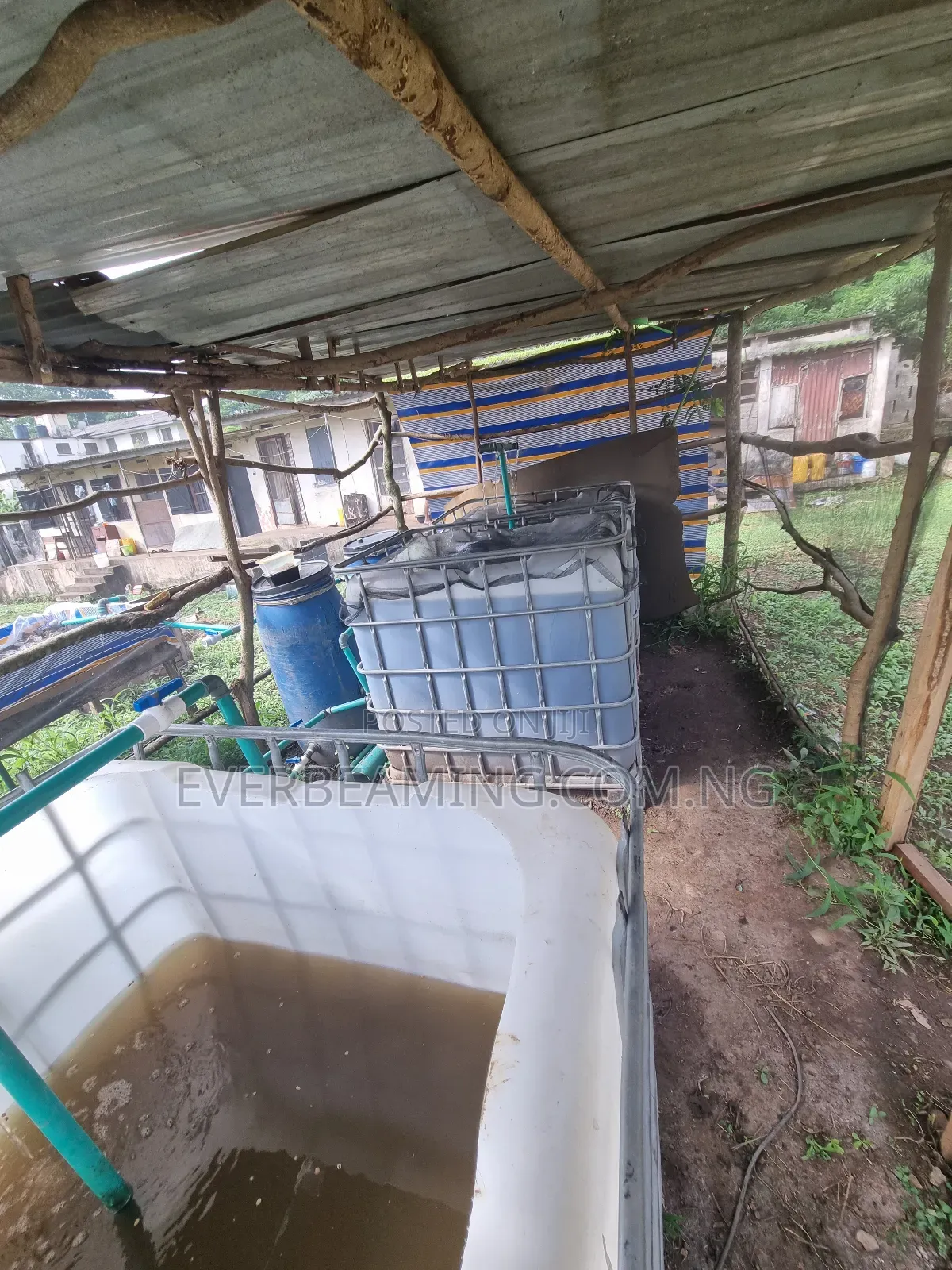 We Build Recirculatory Aquaculture System (Ras)