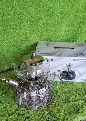 3l Stainless Steel Kettle With 0.6 Glass Teapot