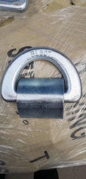 Forged Steel Lashing D-Ring